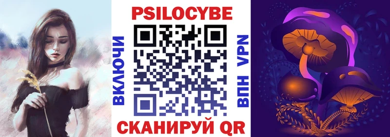 мега tor  Почеп  Галлюциногенные грибы мицелий 